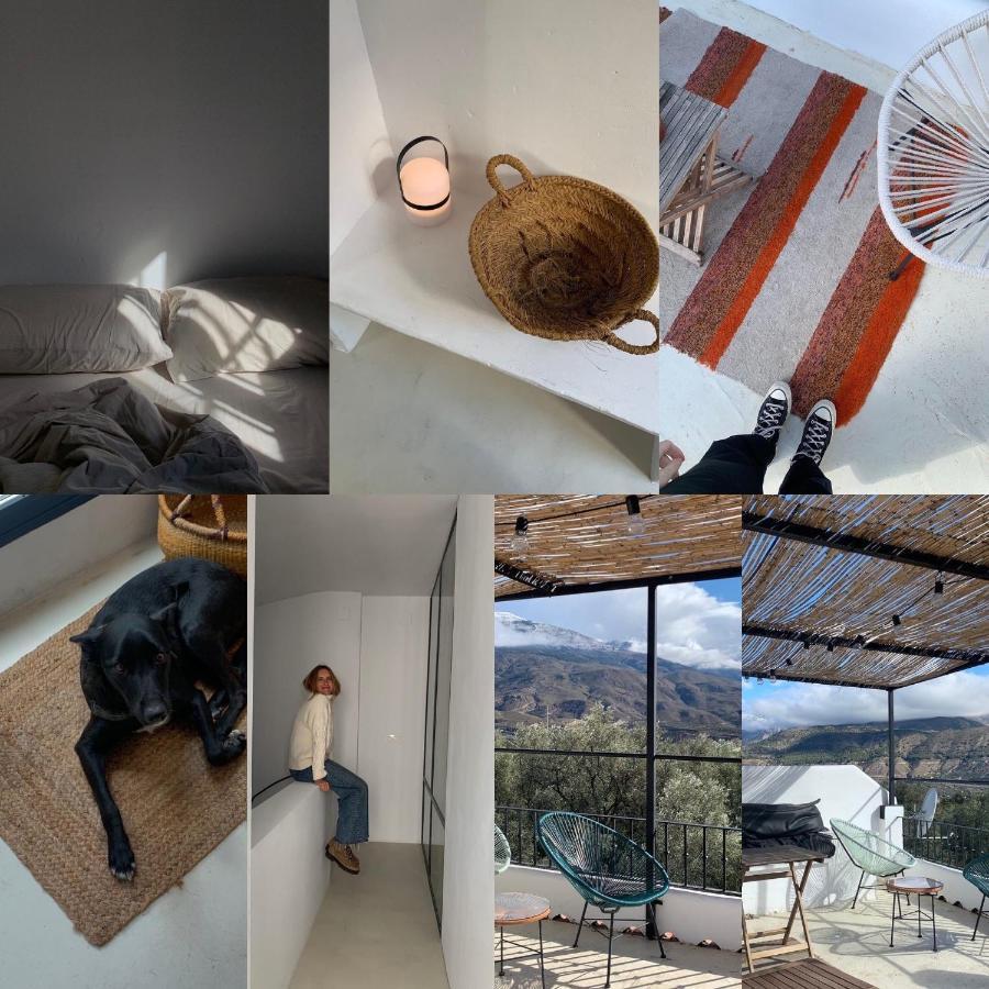 Bed and Breakfast Casa Limon Pinos del Valle Exterior foto